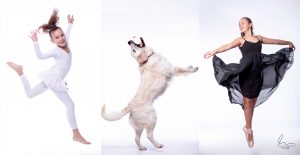 rodinný fotograf atelier most