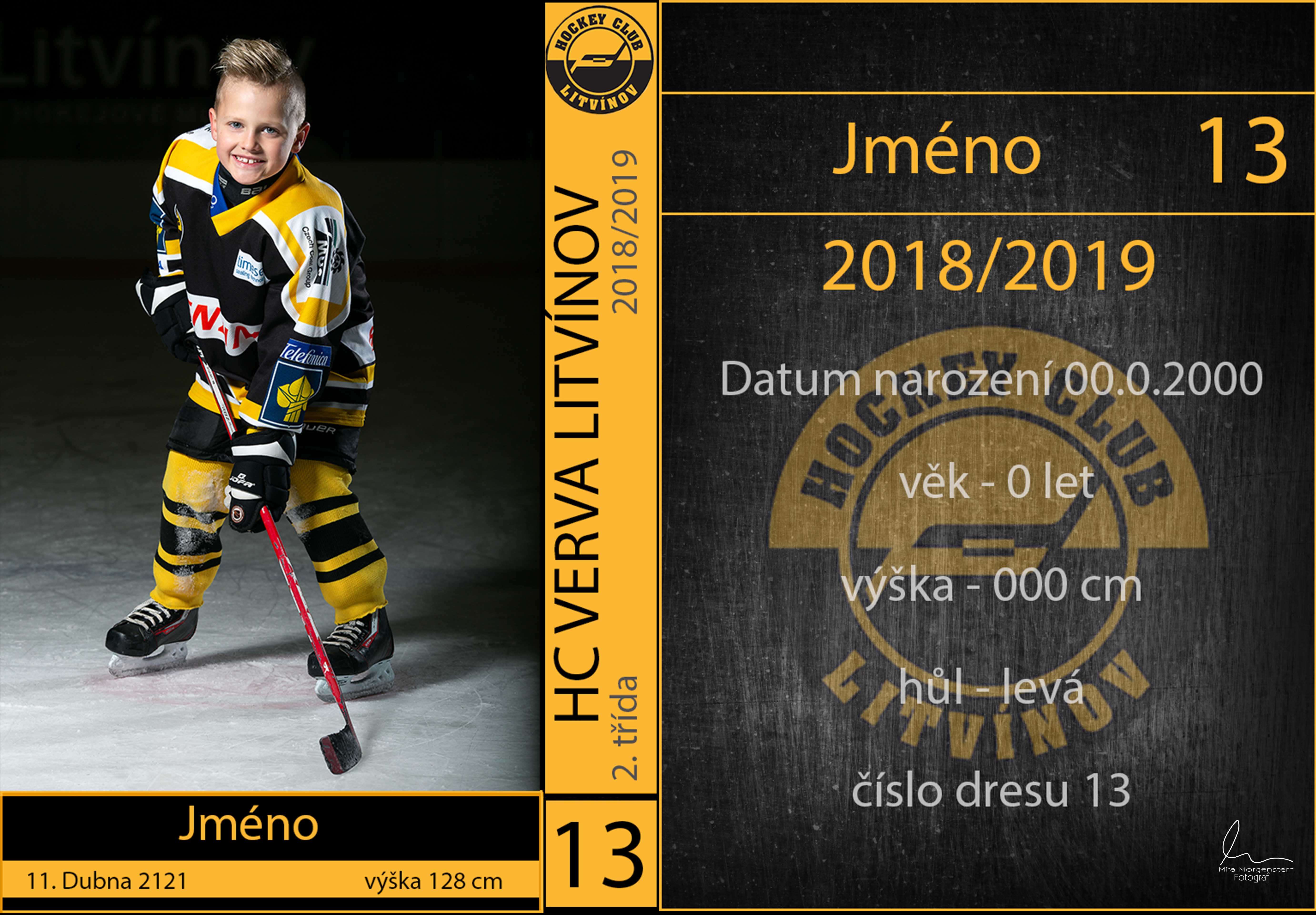 Focení HC Litvínov hokejové kartičky