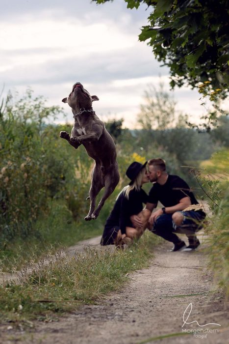párové focení fotograf Most chomutov Litvínov