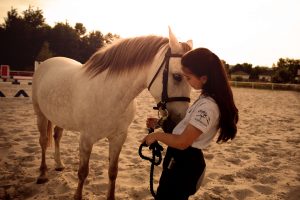 Focení s koňmi