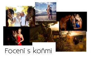 horse photography