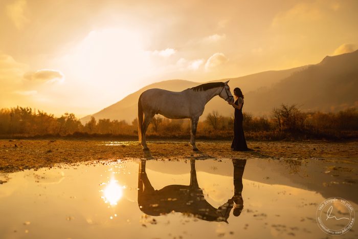 umelecke-foto-kone-teplice