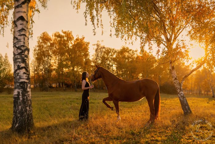 umelecke-foto-kone-teplice